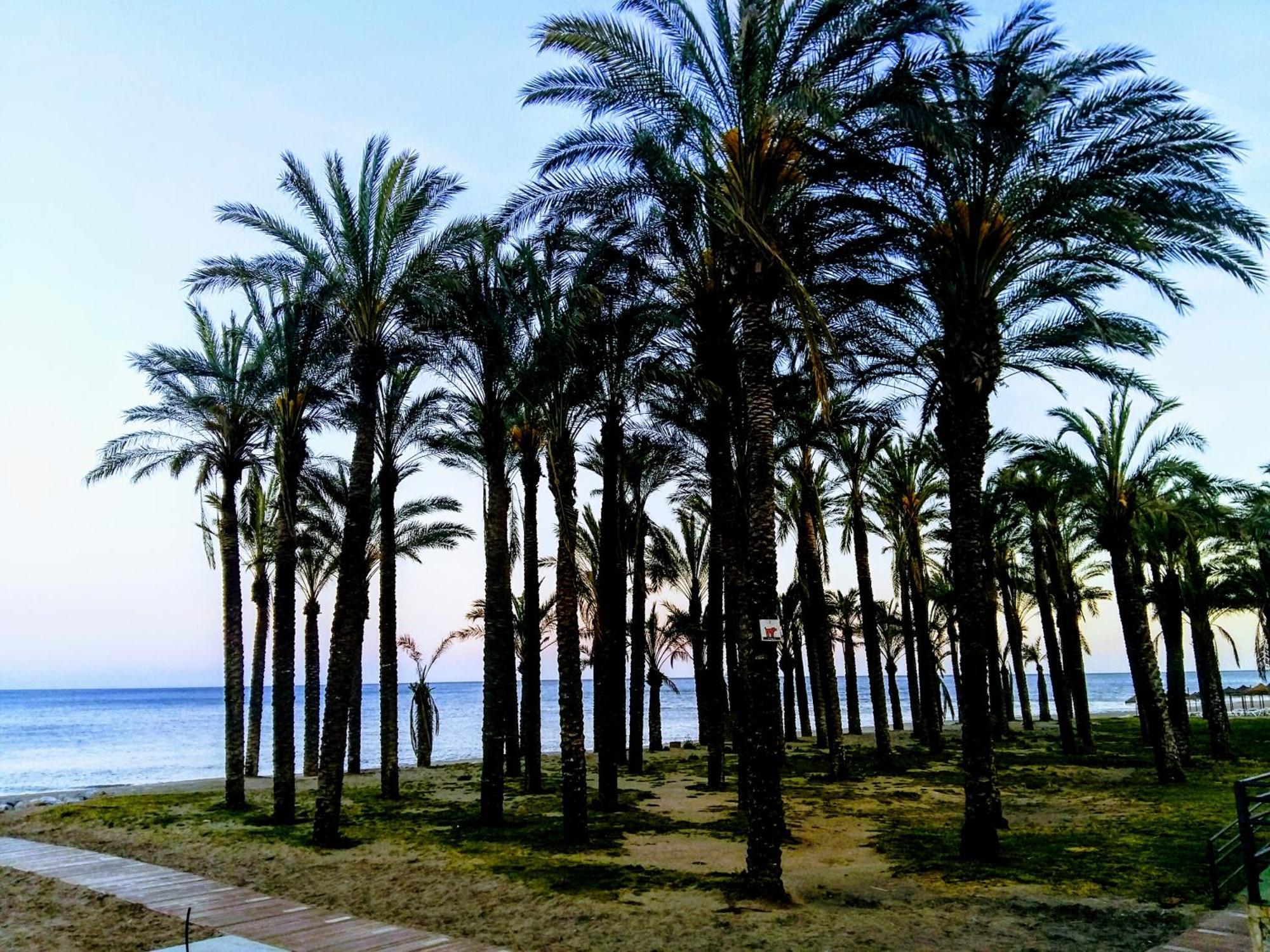 Castillo De Santa Clara 05 ตอร์เรโมลิโนส ภายนอก รูปภาพ